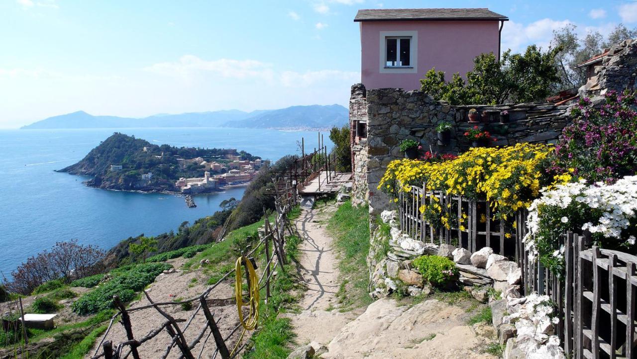 Ferienwohnung La Vie En Rose Flat Sestri Levante Exterior foto